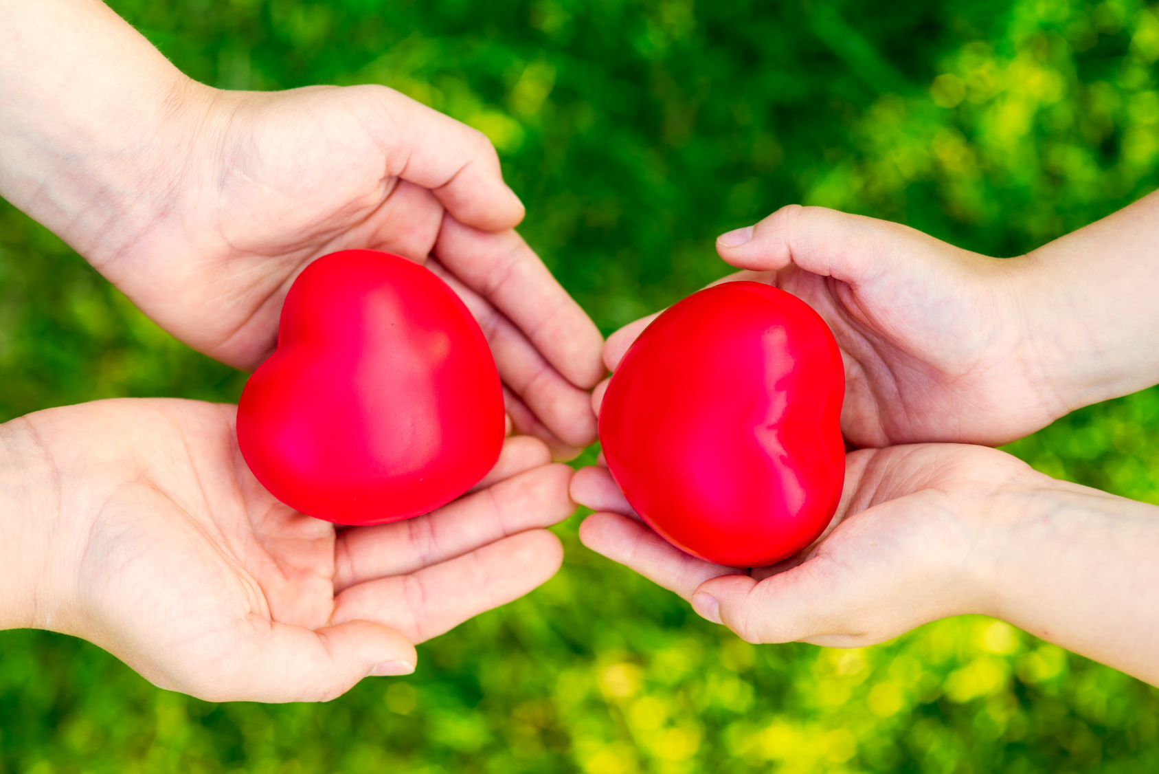 Hearts in hands on green background